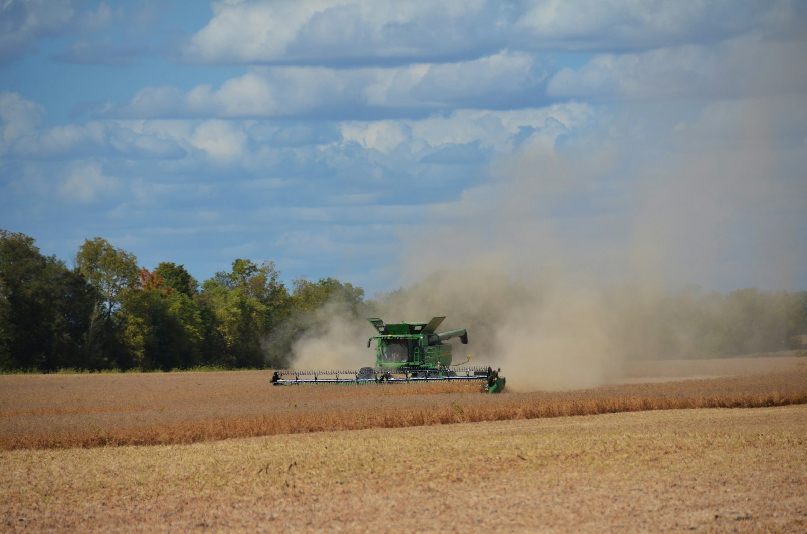 Mähdrescher mit Staubfahne bei der Ernte auf einem Feld bei Zeven